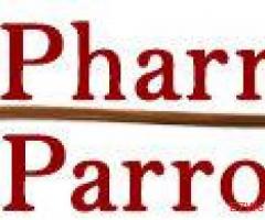 Pharrell Parrots World