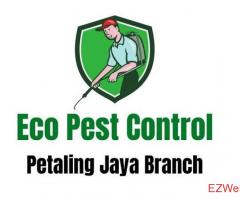 Eco Pest Control - Petaling Jaya Branch