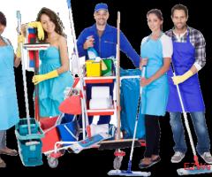 Professional bond cleaning services