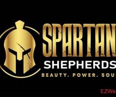 Spartan Shepherds