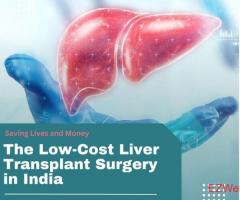 Liver Transplant Surgery Cost India