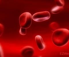 7 Guaranteed Ways To Make Guardian Blood Balance Australia Easier For You