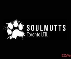 Soulmutts Toronto