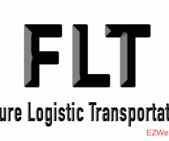 Future Logistics Transportation Inc