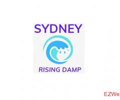Sydney Rising Damp
