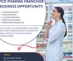 Which Company Provides the Best PCD Pharma Franchise Business Opportunity?