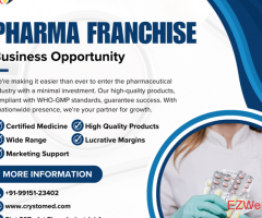 Pharma Franchise Business: Affordable Excellence Across India