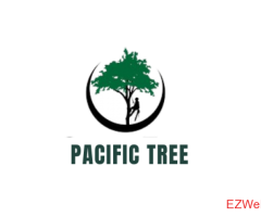  Pacific Tree