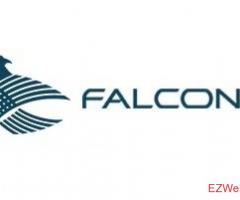 Falcons Gt Motors Fzco
