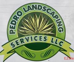 Pedro Landscaping Services