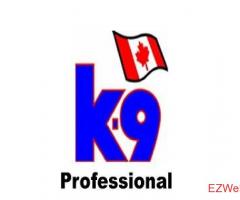 K-9 SHOP PROFESSIONAL