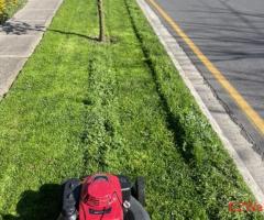Lawn mowing and garden care