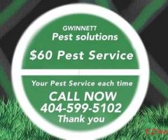 Gwinnett Pest Solutions