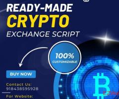 cryptocurrency exchange script developer in USA