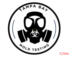 Tampa Bay Mold Testing