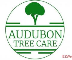 Audubon Tree Care