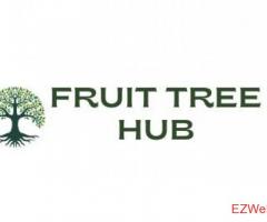 Fruit Tree Hub