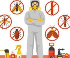 Pestico Pest Control Brisbane