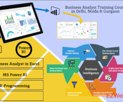 Business Analyst Training Course in Delhi, 110082. Best Online Live Business Analytics 