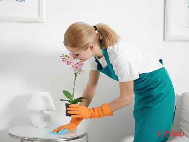 House Cleaning Services Westchester