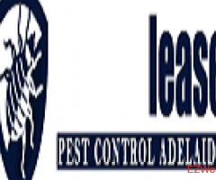 End of Lease Pest Control Adelaide