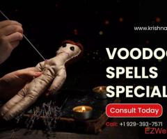 Evil Spirits Removal Astrology Service in New York – Krishnaastrologer.com