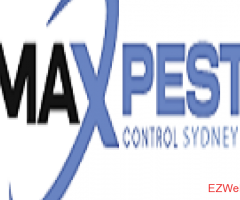Max Pest Control 