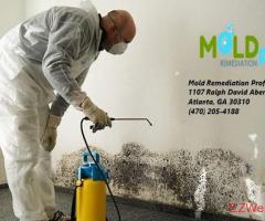 Mold Remediation Professionals