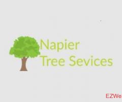 Tree Services Napier