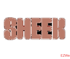 Sheek Body LLC