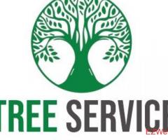 Tree Service Concord