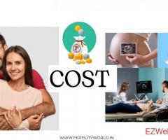 IVF For Twins Costs In India