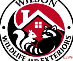 Wilson Wildlife & Exteriors