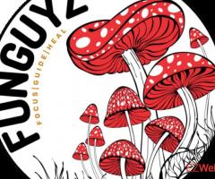 Magic Mushroom Dispensary