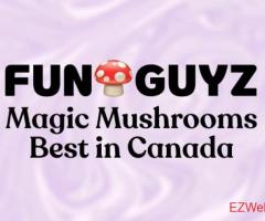 FunGuyz - Magic Mushroom Dispensary
