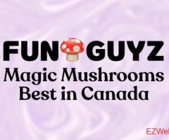 FunGuyz - Magic Mushroom Dispensary