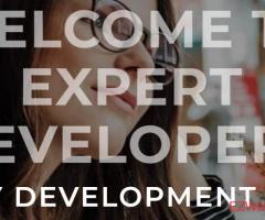 Expert Developers