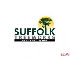 Suffolk Treework LI