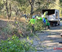 Mayan Climber Tree Service Inc.