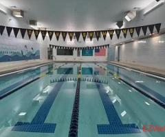 Dolphin Swimming Flagship Pool