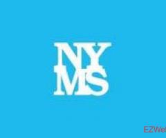  New York Mold Specialist