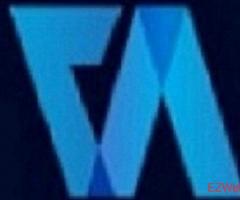 Company Valuation - Virtual Auditor Pvt Ltd 